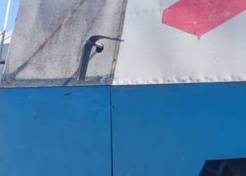 Sprzedam Fortschmit e-512