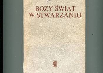 Boży świat w stwarzaniu - Peter Schoonenberg