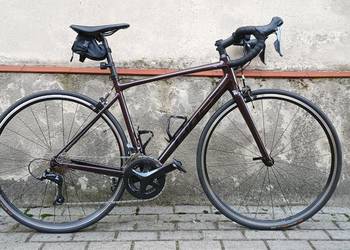 Giant Contend 1 M 2023