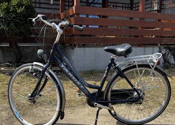 Rower holenderski Target Shimano Nexus