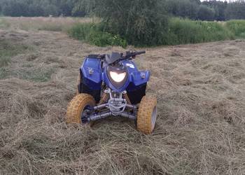 quad  Polaris 200