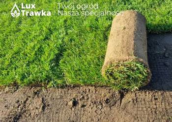 Trawa z rolki | Trawa w rolce | Przygotowanie podłoża