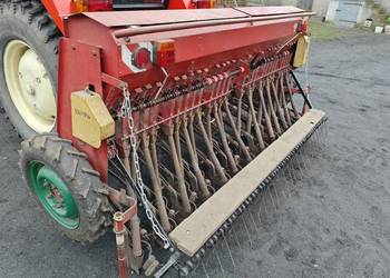 Siewnik poznaniak s043