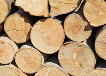 Sezonowane drewno kominkowe i opałowe