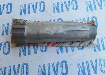 Maschio brona hb walek nr 1010.0204