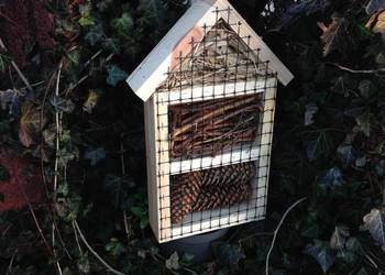 Domek budka dla owadów 35x21x6cm