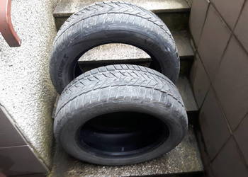 Opony zimowe 2 szt. VREDESTEN 215/55 R16