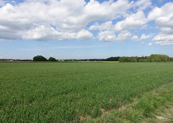 Skoczów Pruchna 1,15ha pod zabudowe jednorodzinną stadnine koni
