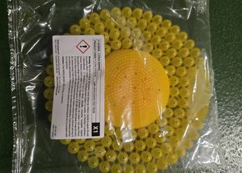 Wkład zapachowy do pisuaru z wkładką enzymatyczną CITRUS MANGO