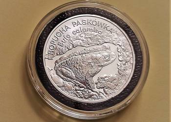 20 zł Ropucha Paskówka 1998 r.