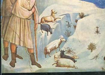 Giotto W kęgu sztuki