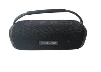 Głośnik mobilny Roseland RS-510