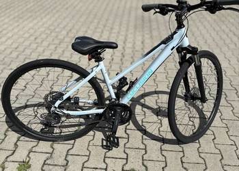rower crossowy Cyclision Zodya MK-II 28”
