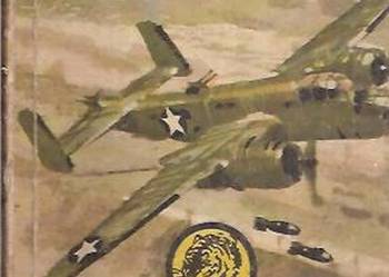 ŻÓŁTY TYGRYS - TOKIO - GODZINA 12.30 - ZARZYCKI A.