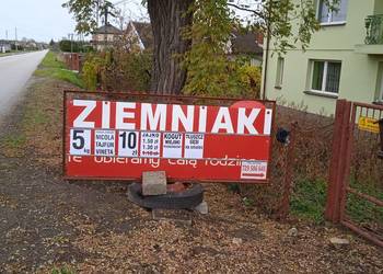 Ziemniaki