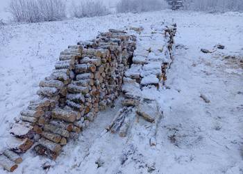 Drzewo Drewno Opałowe Kominkowe Brzoza i Czeremcha Liściaste Pocięte Łupane