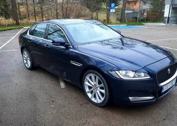 Jaguar XF 3.0 TDV6 Portfolio 53tkm