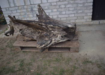 Niepowtarzalny korzeń ozdobny do ogrodu