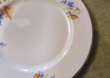 Patera  wielki talerz porcelana znamienita Rosenthal Niemcy