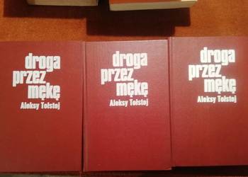 Zestaw literatury rosyjskiej