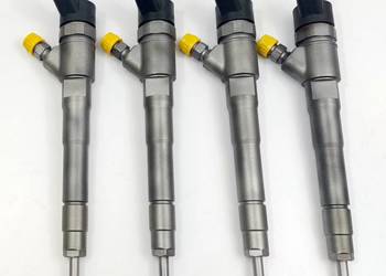 Regeneracja wtryskiwaczy dobra cena - Bosch Siemens Delphi Denso