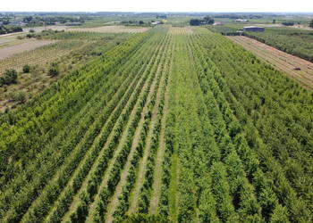 Sprzedam grunt inwestycyjny 40.000 m2 przy E77 Warszawa-Rado