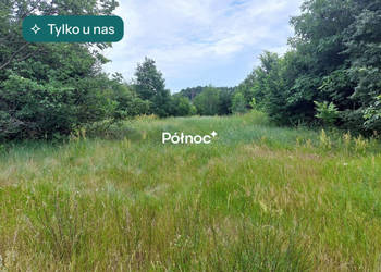 Tania działka pod zabudowę, Michałki gm. Rokitno