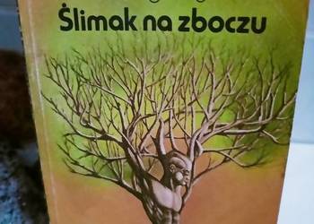 Ślimak na zboczu