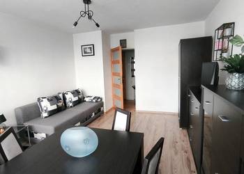 Mieszkanie w zielonej i spokojniej okolicy