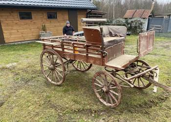 Bryczka konna zabytkowa