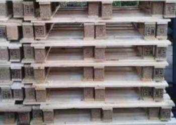 Palety jednorazowe 96 x 65 cm nowe