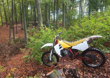 Suzuki rm250