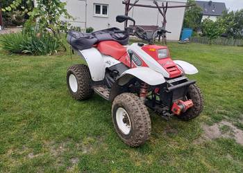 Quad Polaris 325 trail boss