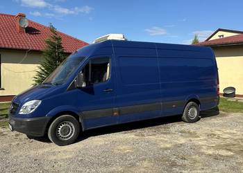 Mercedes Benz Sprinter 313 CDI rocznik 2010 chłodnia
