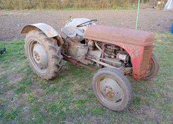 Sprzedam Fergusona TEA 20