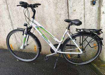 Rower Pegasus 28cali