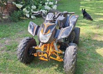 quad kayo 125cc