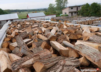 Drewno kominkowe i opałowe