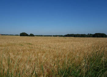 Skoczów Pruchna 1,15ha pod stadnine zabudowe lux lokalizacja
