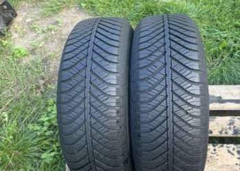 Opony wielosezonowe 195/65/15