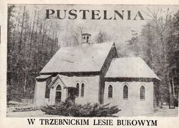 PUSTELNIA W TRZEBNICKIM LESIE BUKOWYM