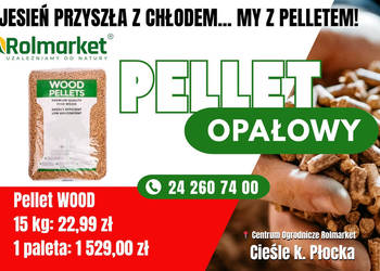 Pellet Wood Pellets opał pelet drzewny ENplus worek 15kg certyfikat
