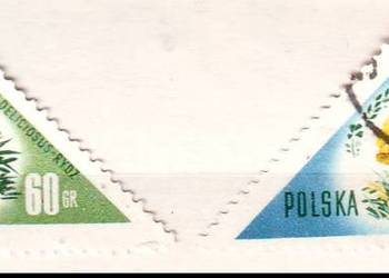 Zn. Fi 951, 2 kas 1959
