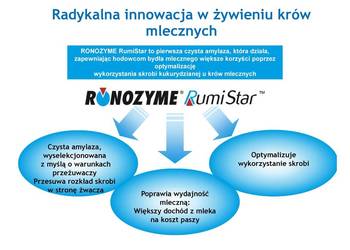 Amylaza enzym dla bydła mlecznego Ronozyme Rumistar poprawa strawności