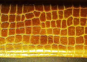 Etui z plastiku udającego wężową skórę przeznaczone na dwa długopisy