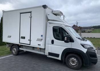 Peugeot Boxer chłodnia