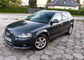Ładne i zdrowe Audi A3 1,6 benzyna z gazem LPG po lifcie Polecam