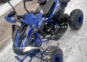 Quad 125 kxd pro