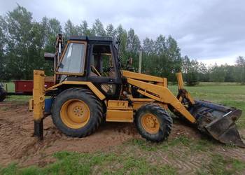 Cat 428