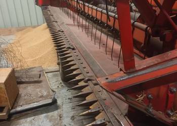 Stół do rzepaku bizon, kosa boczna szybki moztaż